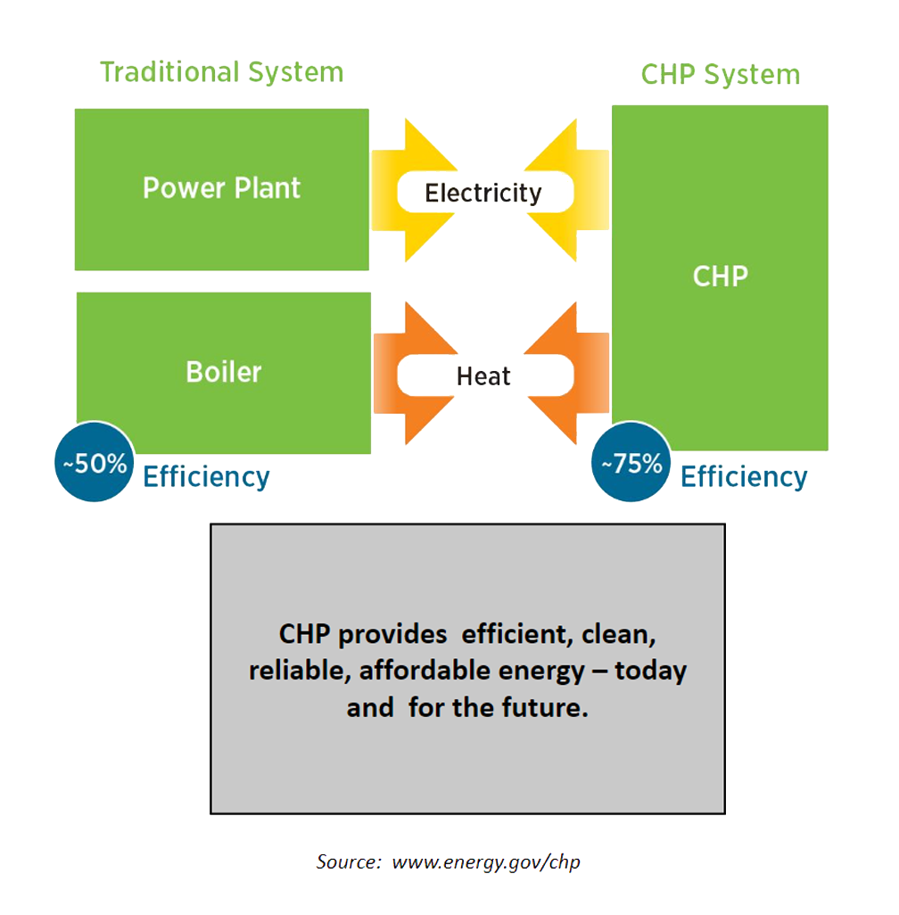 What is CHP